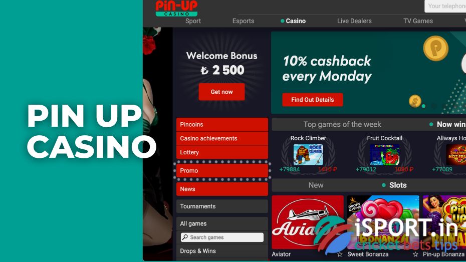 casino online pin up game slots betting casino online pin up game slots betting